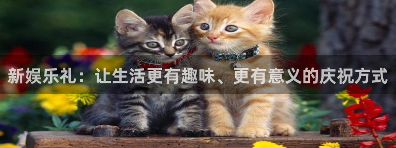 红足1世足球手机版：新娱乐礼：让生活更有趣味、更有意义的庆祝方式