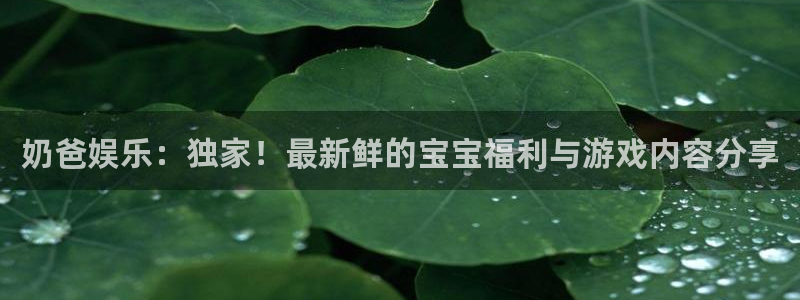 红足1世足球网页版入口：奶爸娱乐：独家！最新鲜的宝宝福利与游戏内容分享
