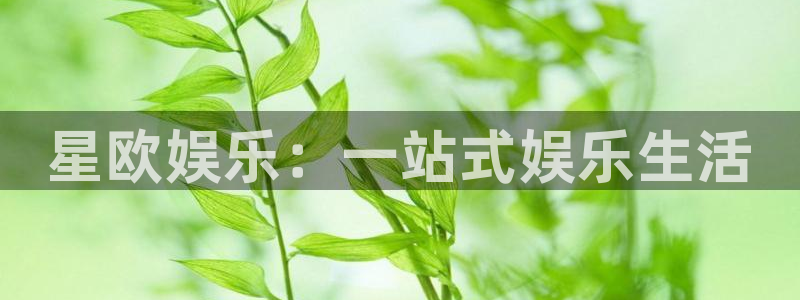红足1世足球网址大全：星欧娱乐：一站式娱乐生活