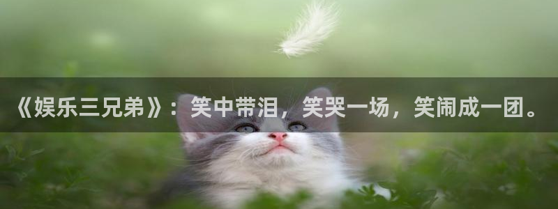 红足1世44814：《娱乐三兄弟》：笑中带泪，笑哭一场，笑闹成一团。