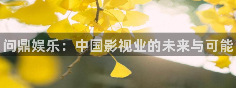 红足1世：问鼎娱乐：中国影视业的未来与可能