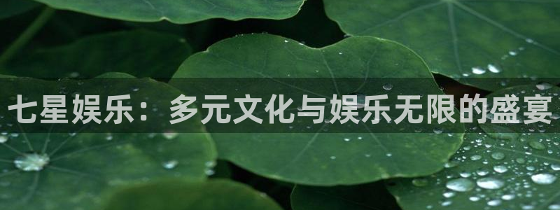 红足1世44814：七星娱乐：多元文化与娱乐无限的盛宴