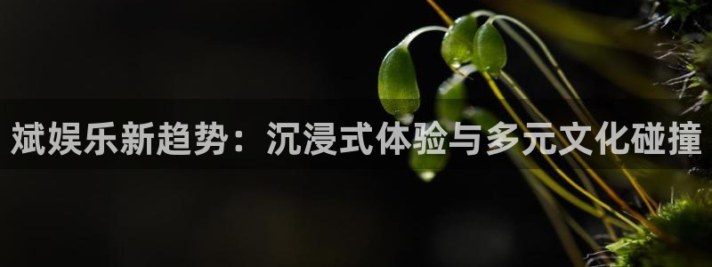 红足一1世平台：斌娱乐新趋势：沉浸式体验与多元文化碰撞