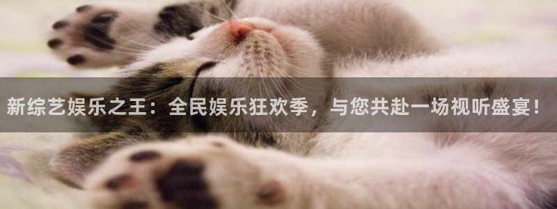 红足1世1站：新综艺娱乐之王：全民娱乐狂欢季，与您共赴一场视听盛宴！